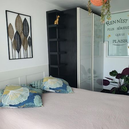Appartement Cosy Entierement Equipe Тулуза Экстерьер фото