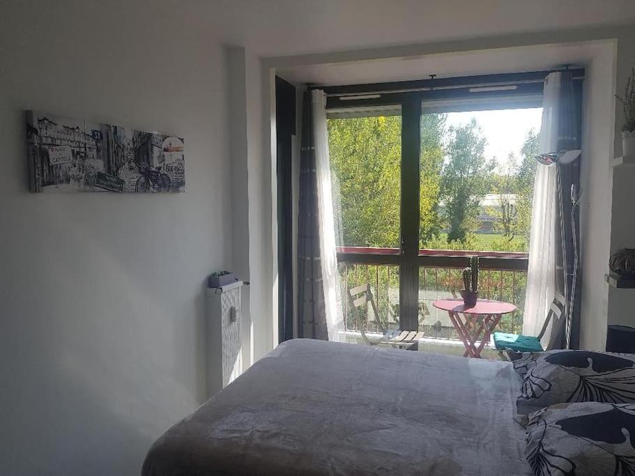 Appartement Cosy Entierement Equipe Тулуза Экстерьер фото