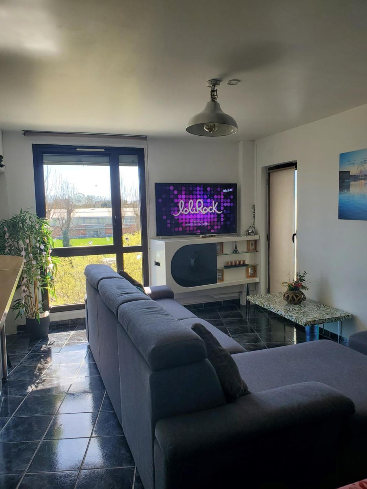 Appartement Cosy Entierement Equipe Тулуза Экстерьер фото